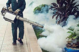 fumigation pest control service