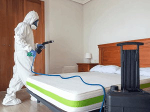 bed bug fumigation services