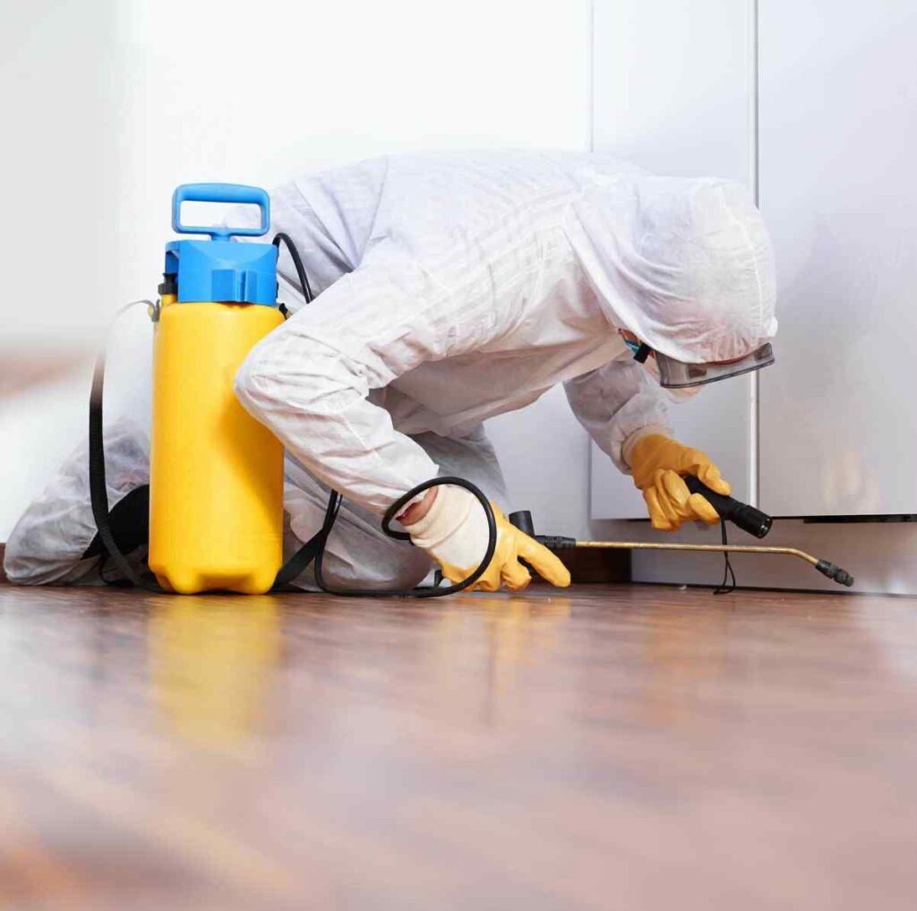 nairobi pest control