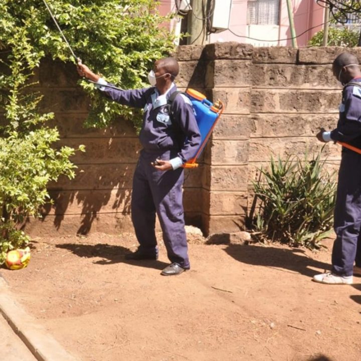 pest control 1024x799